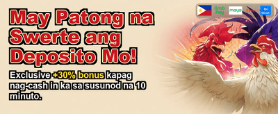 Experience the Poneclub Buzz! banner